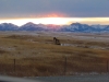 keelies-pics-1019